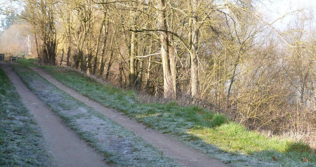 Les Gites De Colliers Muides-sur-Loire ห้อง รูปภาพ