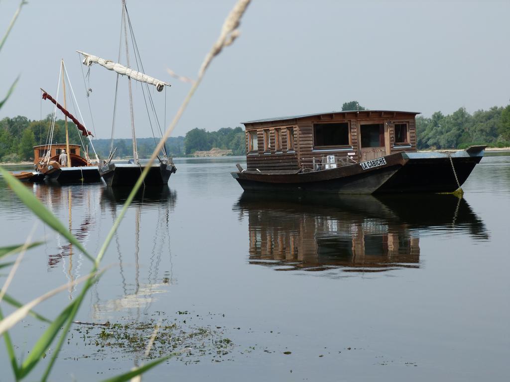 Les Gites De Colliers Muides-sur-Loire ภายนอก รูปภาพ